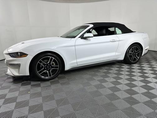 2022 Ford Mustang EcoBoost