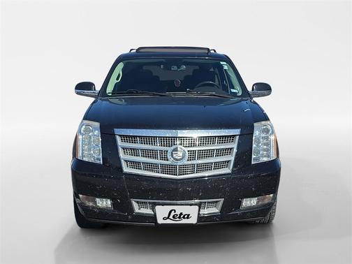 2010 Cadillac Escalade Platinum Edition