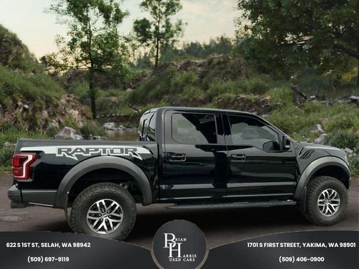 Shadow Black 2018 Ford F-150 Raptor
