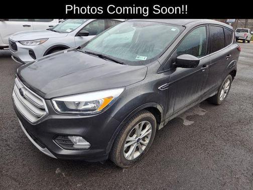 Magnetic 2019 Ford Escape SE