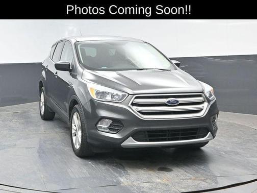 Magnetic 2019 Ford Escape SE