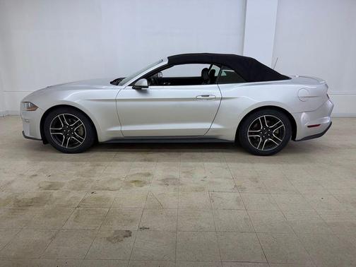 Ingot Silver 2019 Ford Mustang EcoBoost Premium