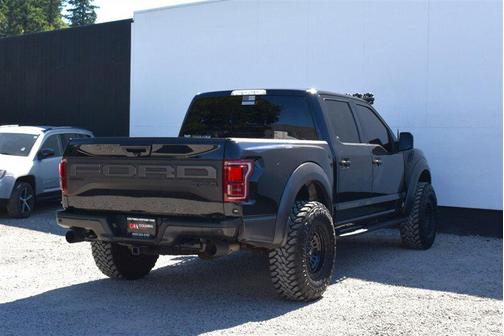 Agate Black Metallic 2019 Ford F-150 Raptor