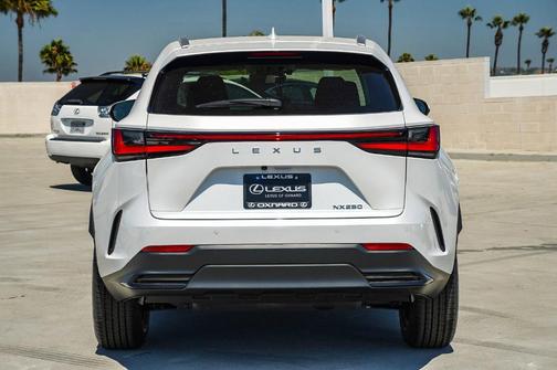 2025 Lexus NX 250 Base