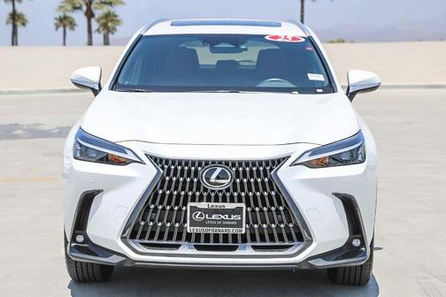 2025 Lexus NX 350h Base