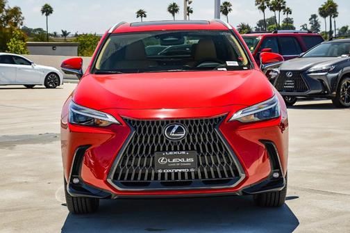2025 Lexus NX 350h Premium