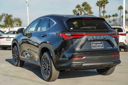 2025 Lexus NX 250 Premium
