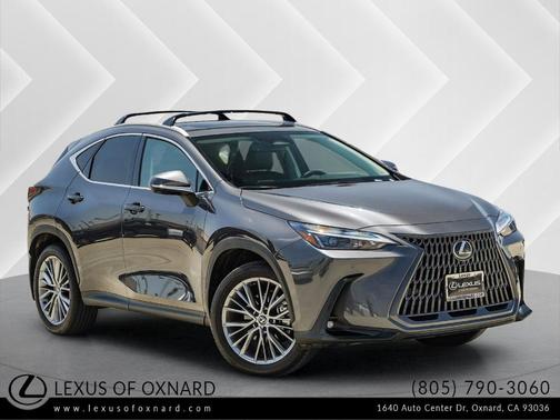 2025 Lexus NX 350 Premium