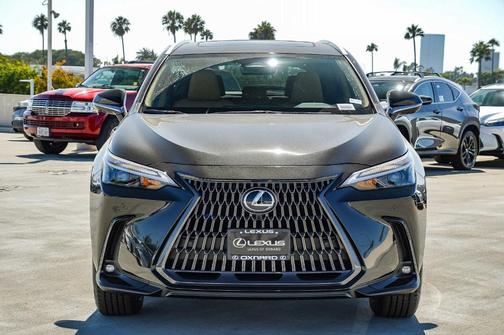 2025 Lexus NX 350 Premium