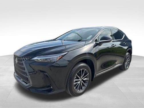 2025 Lexus NX 250 Premium