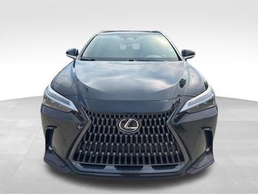 2025 Lexus NX 250 Premium