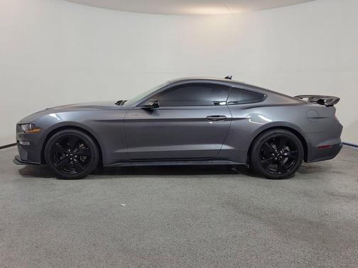Carbonized Gray Metallic 2023 Ford Mustang EcoBoost