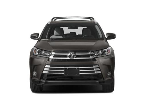 Blizzard Pearl 2019 Toyota Highlander Limited