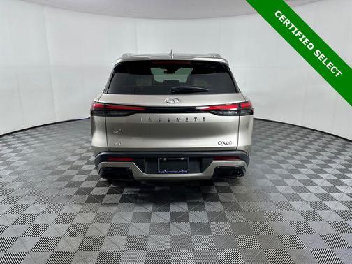 Warm Titanium 2023 INFINITI QX60 Luxe