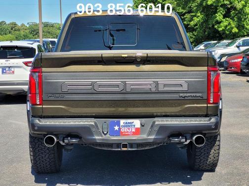Shelter Green 2025 Ford F-150 Raptor