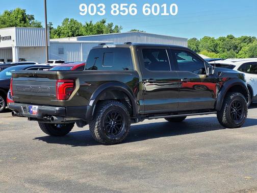Shelter Green 2025 Ford F-150 Raptor