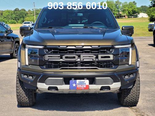 Shelter Green 2025 Ford F-150 Raptor