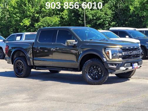 Shelter Green 2025 Ford F-150 Raptor