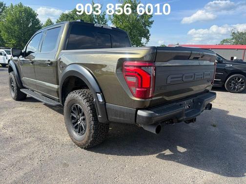 Shelter Green 2025 Ford F-150 Raptor