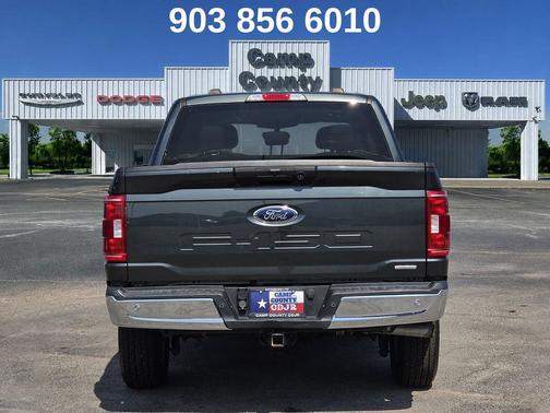 Guard Metallic 2021 Ford F-150 XLT