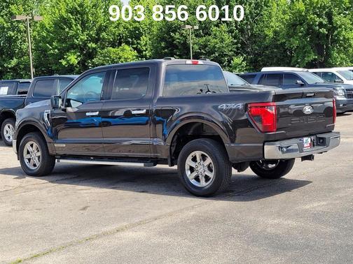 Darkened Bronze Metallic 2024 Ford F-150 XLT