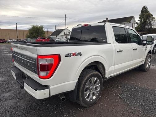 2022 Ford F-150 Platinum