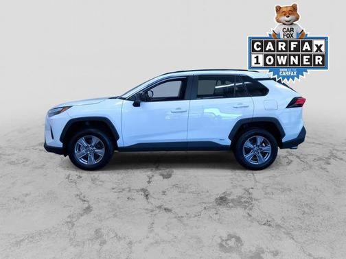 Ice 2025 Toyota RAV4 Hybrid SE