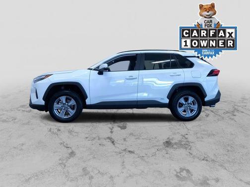 Ice 2025 Toyota RAV4 Hybrid XLE