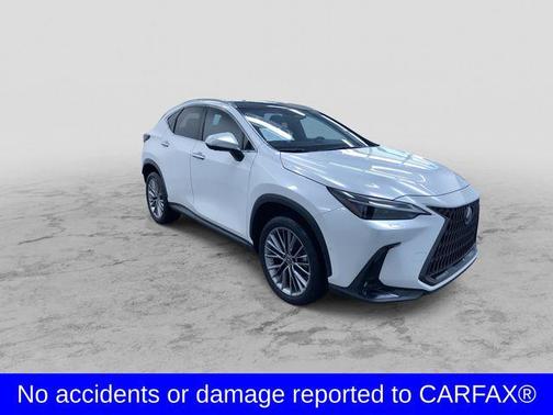 White Pearl 2024 Lexus NX 350h Luxury