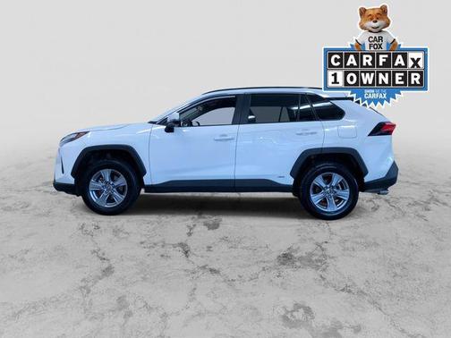 Ice 2025 Toyota RAV4 Hybrid XLE