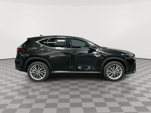 2025 Lexus NX 350h Luxury