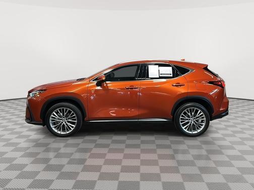 2022 Lexus NX 350 Premium