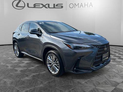 2025 Lexus NX 350 Premium