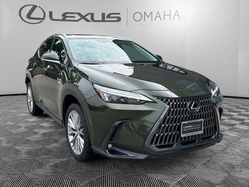 2025 Lexus NX 350h Premium