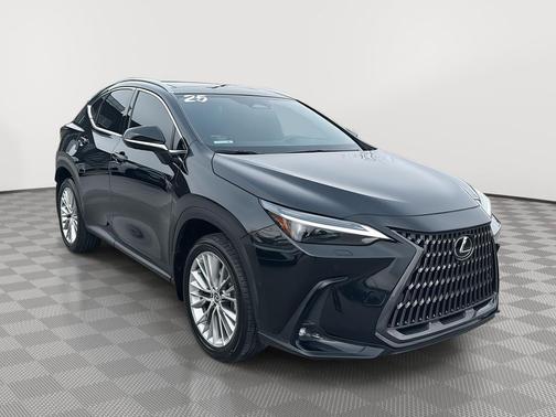 2025 Lexus NX 350 Luxury