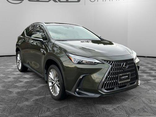 2025 Lexus NX 350h Premium