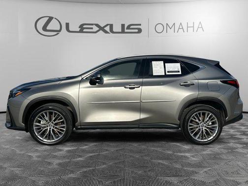 2024 Lexus NX 350 Luxury
