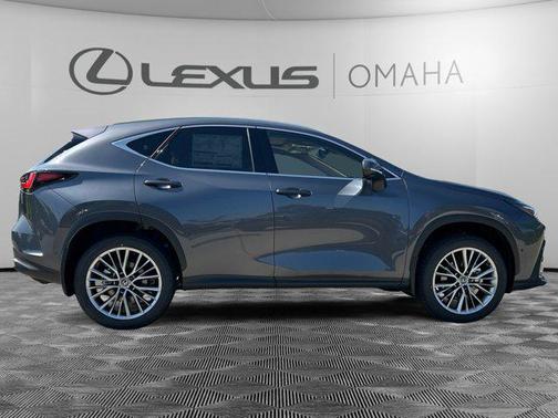 2025 Lexus NX 350h Luxury