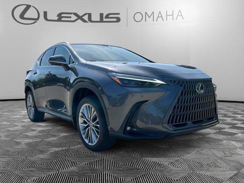 2025 Lexus NX 350h Luxury