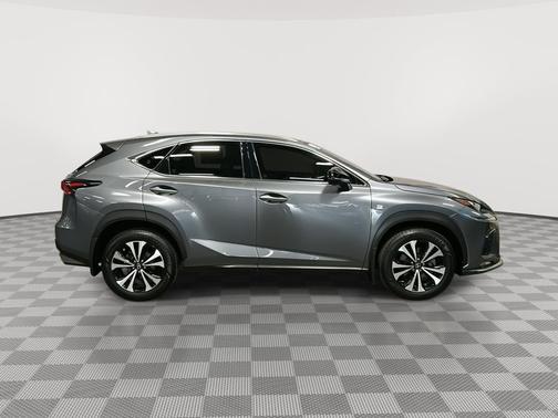 2019 Lexus NX 300 F Sport
