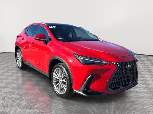 2025 Lexus NX 350 Luxury