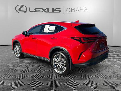 2025 Lexus NX 350 Luxury