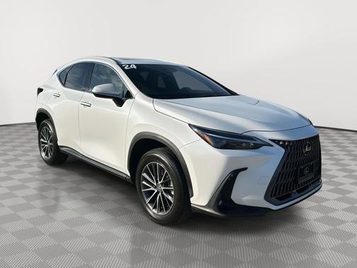 2024 Lexus NX 250 Premium