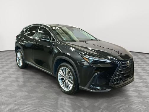 2025 Lexus NX 350h Luxury