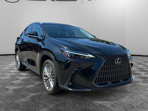 2025 Lexus NX 350 Premium