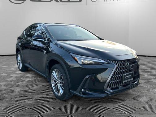 2025 Lexus NX 350 Luxury