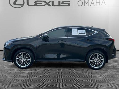 2025 Lexus NX 350 Luxury