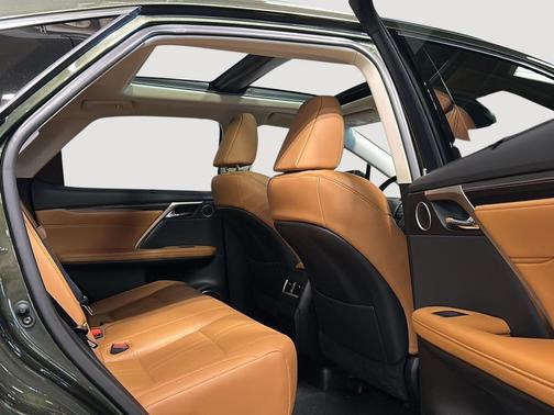 Nori Green Pearl 2022 Lexus RX 450h Base