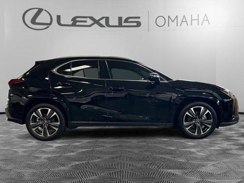 2025 Lexus UX 300h Premium