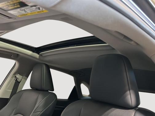 Nebula Gray Pearl 2021 Lexus RX 350 Premium